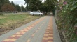 В Брюховецкой появляются всё новые тротуары.