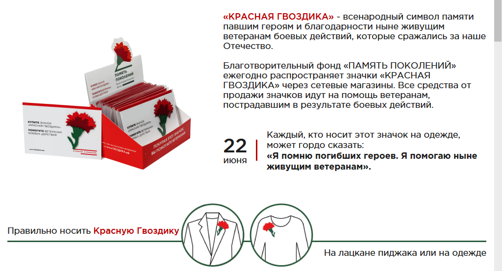 Проект красная гвоздика